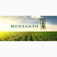 Семена сои MONSANTO Мaxus