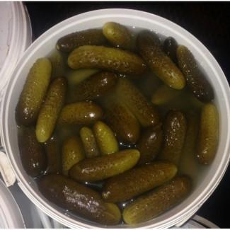 Продам соленый огурец