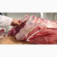 Frozen Beef meat FOB Black sea