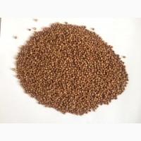 Cheap Organic Buckwheat