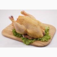 Продам Тушки Домашнего Бройлера Мясо