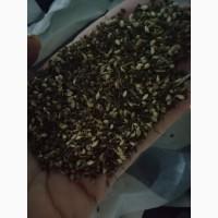 Продаем отходы горчицы белой