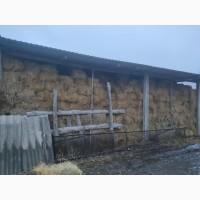 Продам сено в тюках
