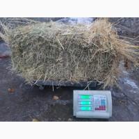 Продам сено в тюках
