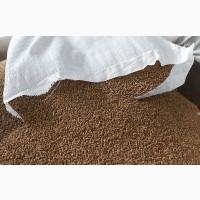 Завод по переработке зерновых культур проводит закупку Гречихи