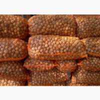 Продам горіх цілий 2021 року врожаю