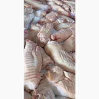 Продам ніжки свинні За запитом