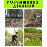 Розчистка ділянок