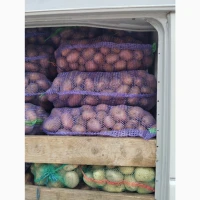 Продам товарну картоплю