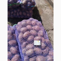 Продам товарну картоплю
