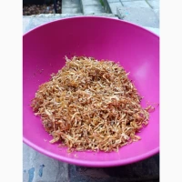 Продам ароматний тютюн