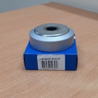 Ступиця ріжучого вузла IL20-60/6T-B16-ZP FKL, F04010439R Gaspardo, F04010439 Gaspardo