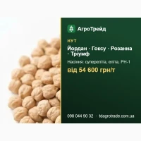 Насіння нуту від 54 600 грн/т - еліта, РН-1, документи
