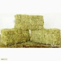 Продам сено люцерны, солома (ячменная, просяная)