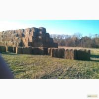 Продам солому в тюках