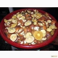 Куплю маслюки, (маслята)