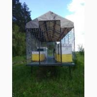Продам діючу пасіку