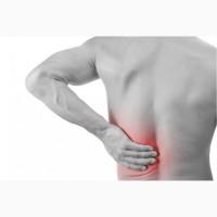 Корень живокоста - окопника, круглый год