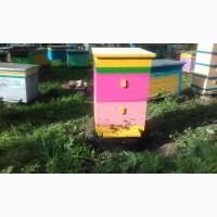 Продам пчелопакети