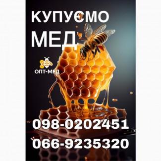 Кіровоградська, Черкаська обл. Купимо Ваш мед. ОПТ-МЕД