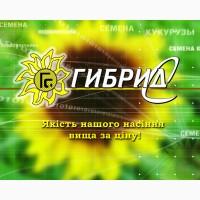 Семена подсолнечника Лайм