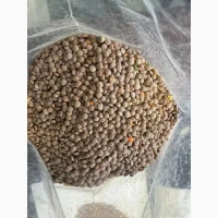 Продам сочевицю червону 28т