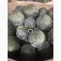 Продам кавун