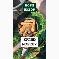 Куплю моркву ОПТ Україна Борщ Набор