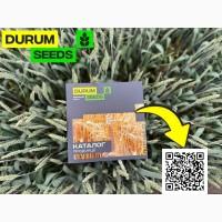 Насіння пшениці - БГ Дуріамо 2С / Durum Seeds 2024 - Оригінатор Biogranum (Сербія)