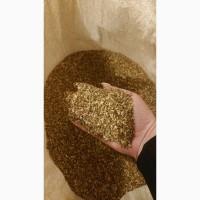 Продам махорку /самосад опт