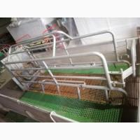 Обладнання для свинарства