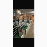 Обладнання для свинарства