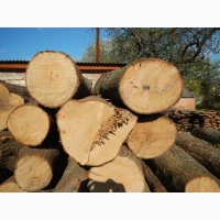 Продам доску липы в ассортименте