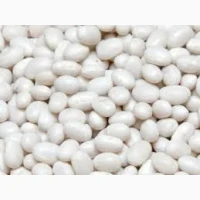 Закупка квасолі. Приймаємо різні сорти на переробку