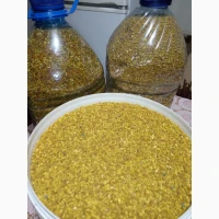 Продам бджолиний пилок