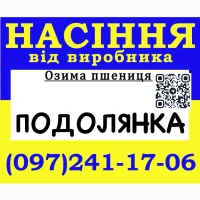 Насіння пшениці (озимої), сорт Подолянка (еліта) 2026 року від виробника