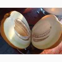 Продам диню Ефіопка, дуже солодка
