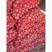 Продам лук