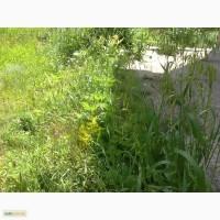 Солома из зерновых культур в тюках для корма