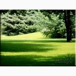 Стрижка газона; покос травы