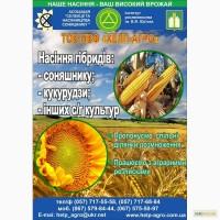 Гібриди Доля, Варта, ДОНОР, ДОЛЯ, ЗОРЯНИЙ