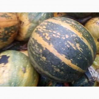 Продам гарбуз