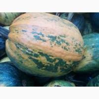 Продам гарбуз