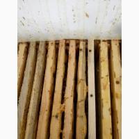 Пчелопакеты