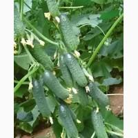 Персики и др фрукти, овощи из турции опт