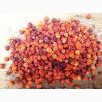 Куплю рябину сушеную. Куплю сушену горобину 2019