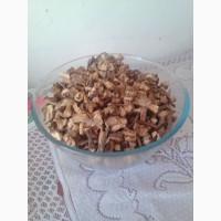 Продам сушенный корень лопуха (репейника)