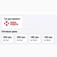 Продам посевмат чеснока сорта Рокамболь
