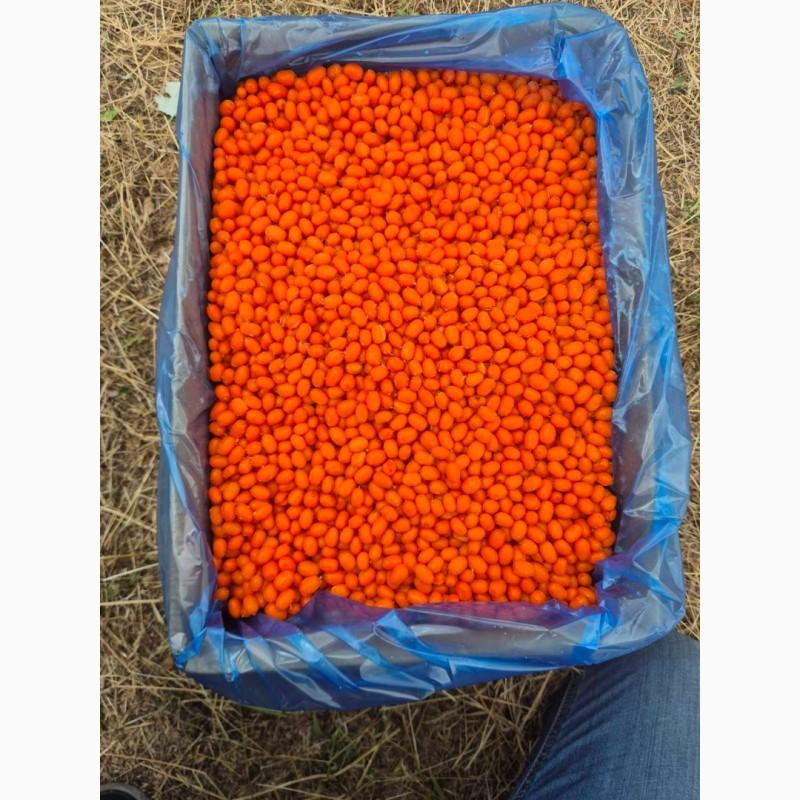 Продам обліпиху висшого сорту заморожену