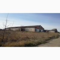 Продам ферму с. Матвіїха Володарського р-ну Київської обл. +земля 2 га